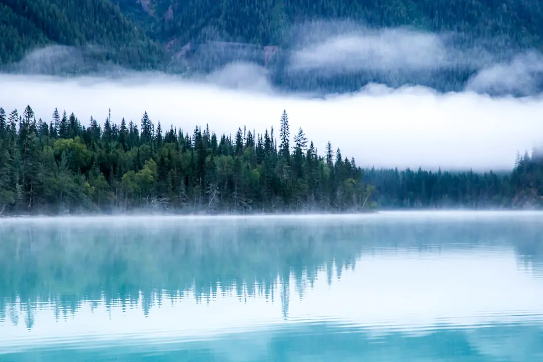 Follow @kalenemsley on ig by Hydrofoiling body of water surrounding with trees