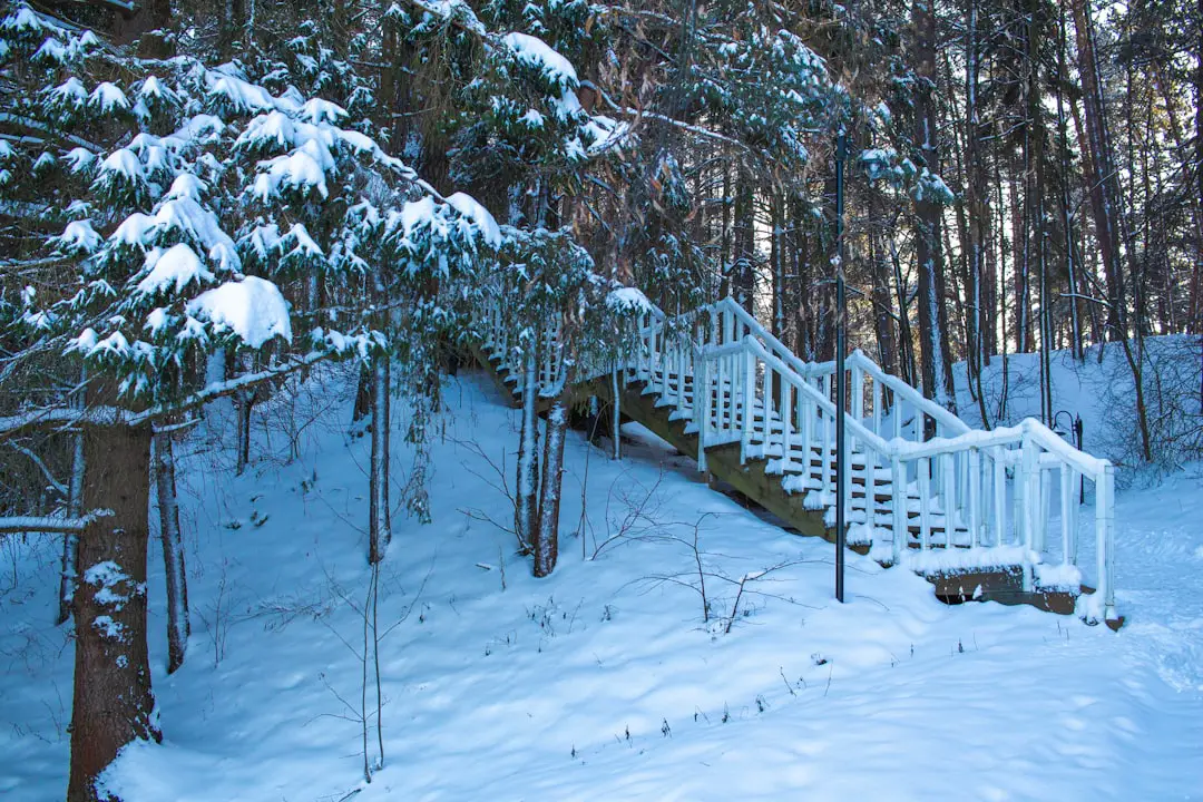 a snow covered hill with a set of stairs