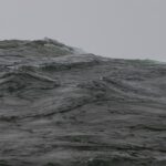 Featured image for Hydrofoil Environmental Impact 7 Surprising Facts You Need to Know 2025