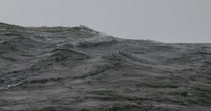 Featured image for Hydrofoil Environmental Impact 7 Surprising Facts You Need to Know 2025