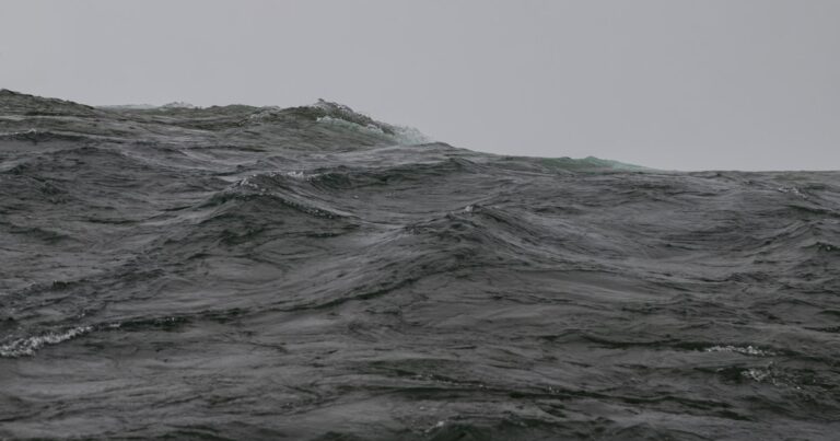 Featured image for Hydrofoil Environmental Impact 7 Surprising Facts You Need to Know 2025