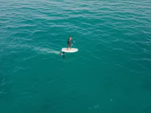 Featured image for 10 Best Hydrofoils for Beginners to Fly High in 2026